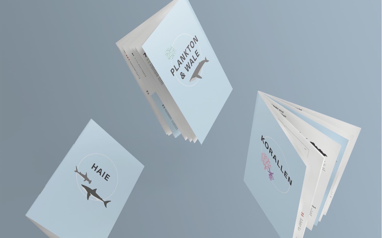 Bedrohte Schlüsselarten im Meer